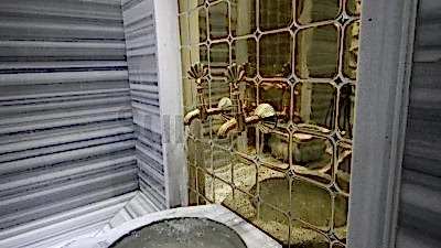 ev-tipi-hamam-imalati-7